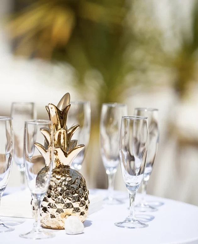 Location Ananas doré pour votre événement en vendée